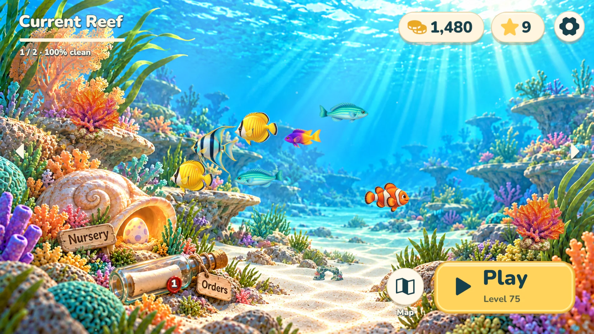 Coralwish restored reef filled with colourful corals and fish