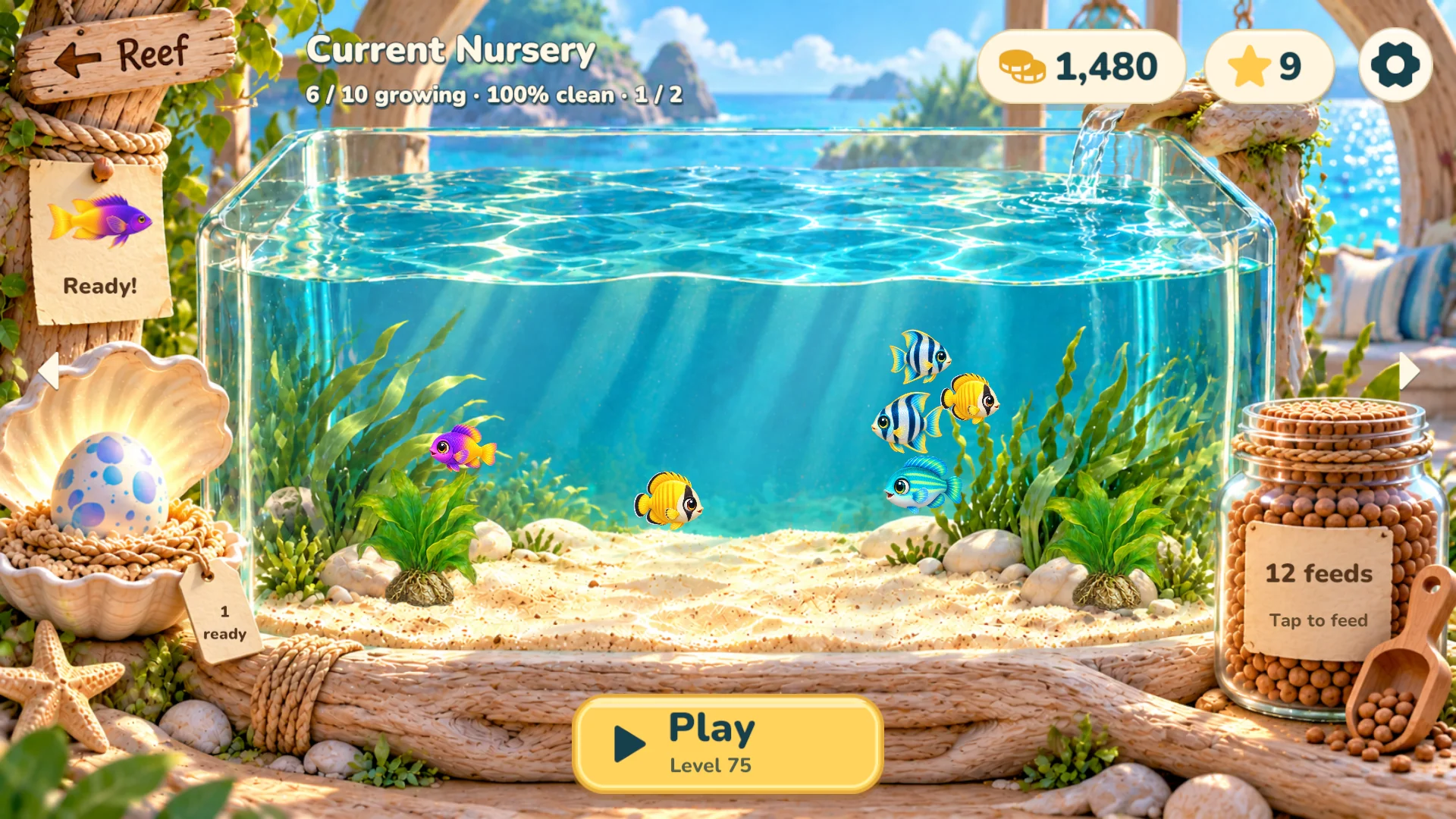 Coralwish nursery aquarium after cleanup, with clear water and growing baby fish